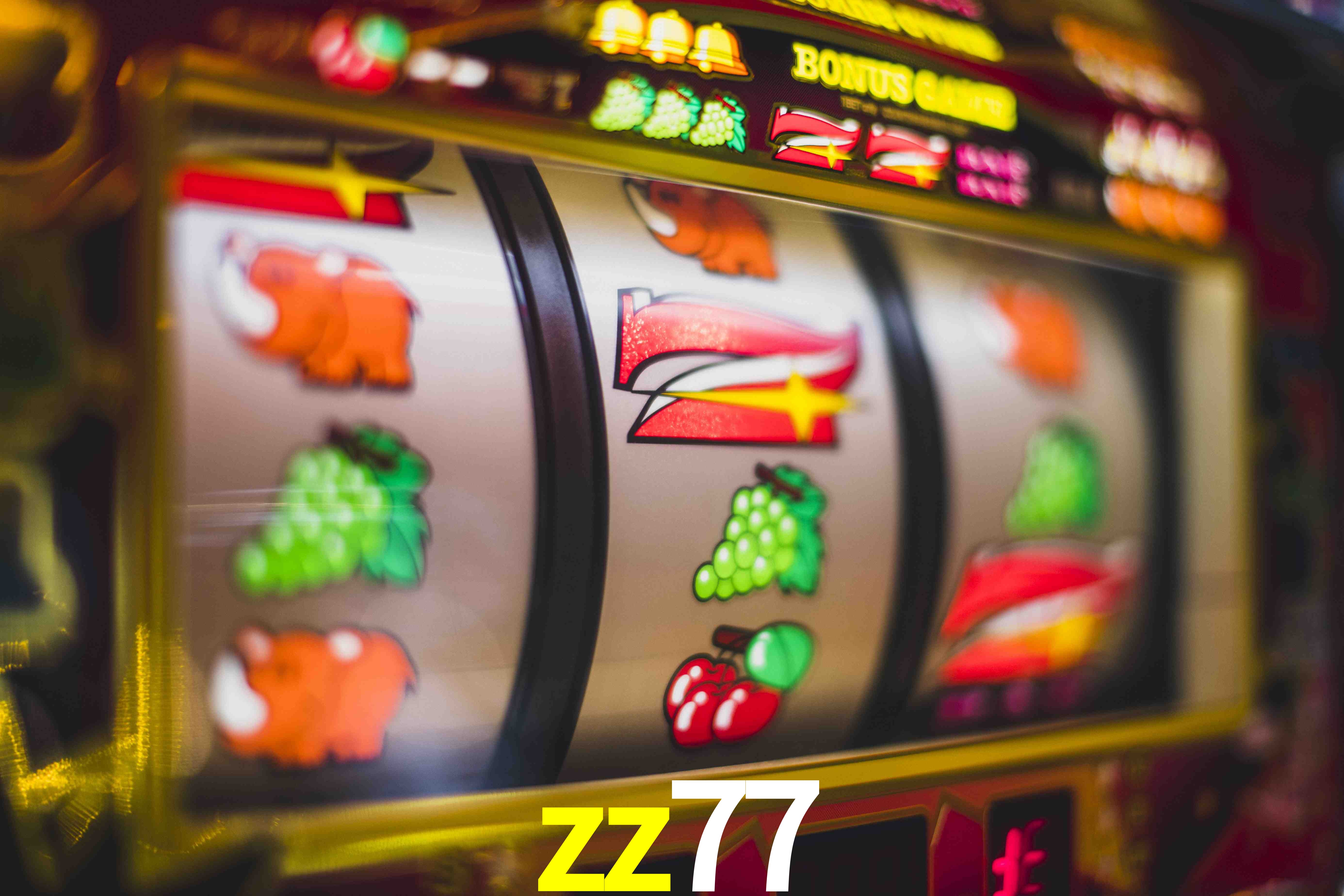 Live Casino zz77